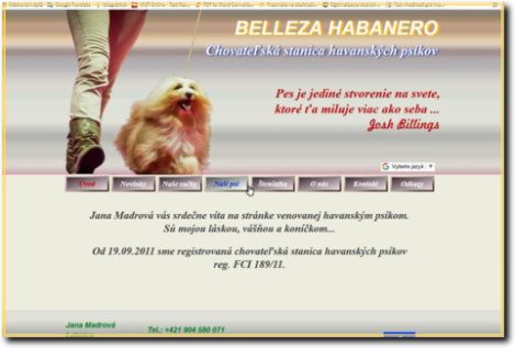 Web BELLEZA HABANERO